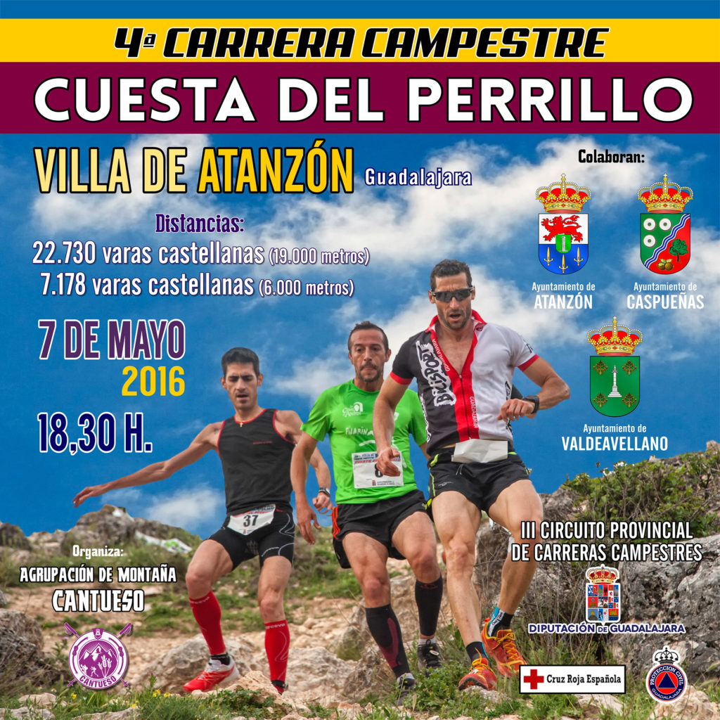 cartel_carrera2016jpg